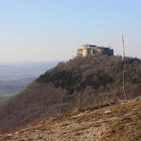 Gaestehaus Marion Pensjonat 3*